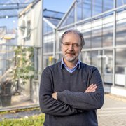 Prof. Dr. Ulrich Schurr; Foto: Forschungszentrum Jülich Prof. Dr. Ulrich Schurr; Foto: Forschungszentrum Jülich